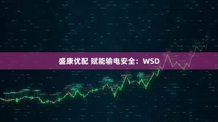 盛康优配 赋能输电安全：WSD
